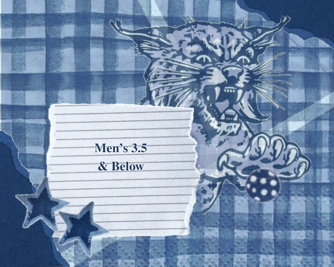 Men's 3.5 & Below - Wildcat Fundraiser Tournament