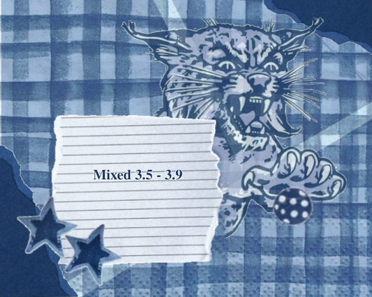Mixed 3.5 - 3.9 - Wildcat Fundraiser Tournament